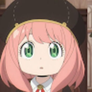 Meet your Posher, Paloma